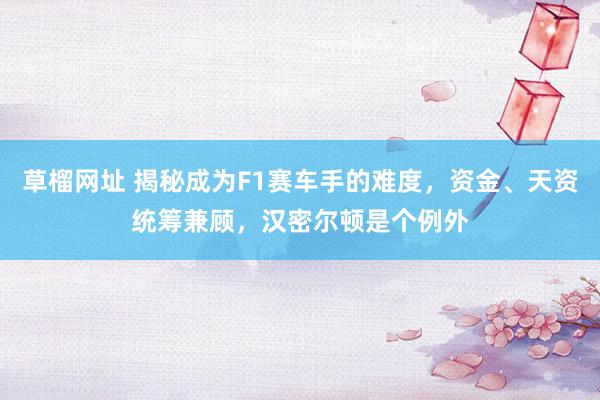  草榴网址 揭秘成为F1赛车手的难度，资金、天资统筹兼顾，汉密尔顿是个例外