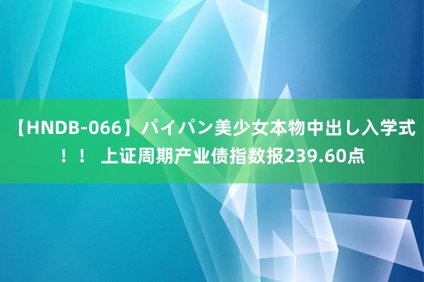   【HNDB-066】パイパン美少女本物中出し入学式！！ 上证周期产业债指数报239.60点