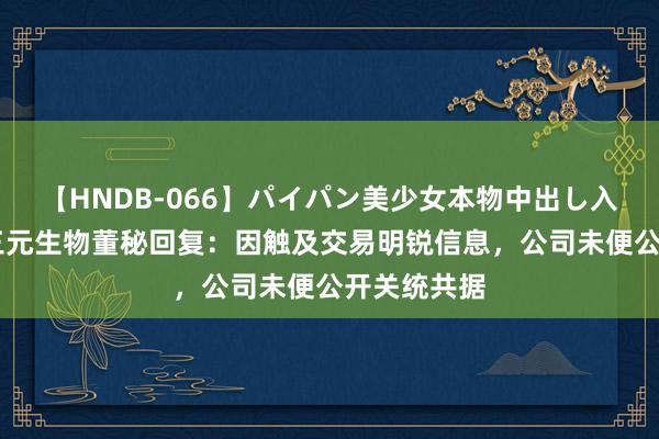   【HNDB-066】パイパン美少女本物中出し入学式！！ 三元生物董秘回复：因触及交易明锐信息，公司未便公开关统共据