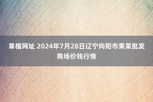   草榴网址 2024年7月28日辽宁向阳市果菜批发商场价钱行情