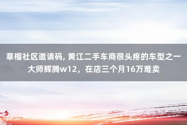   草榴社区邀请码, 黄江二手车商很头疼的车型之一大师辉腾w12，在店三个月16万难卖