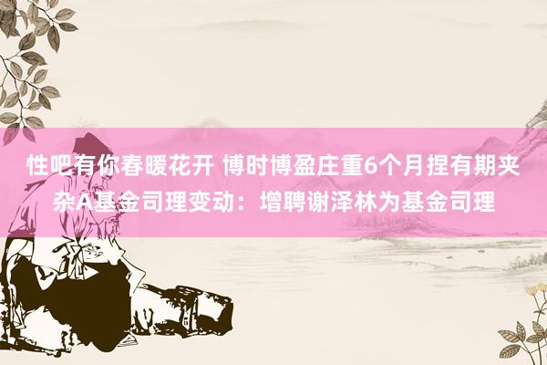  性吧有你春暖花开 博时博盈庄重6个月捏有期夹杂A基金司理变动：增聘谢泽林为基金司理