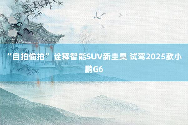  “自拍偷拍” 诠释智能SUV新圭臬 试驾2025款小鹏G6