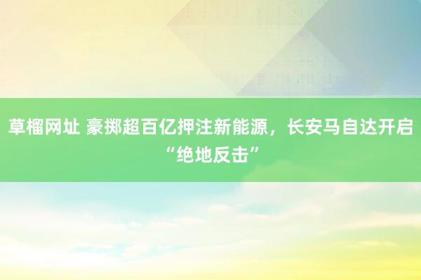   草榴网址 豪掷超百亿押注新能源，长安马自达开启“绝地反击”