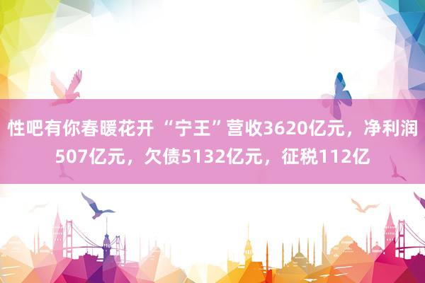   性吧有你春暖花开 “宁王”营收3620亿元，净利润507亿元，欠债5132亿元，征税112亿