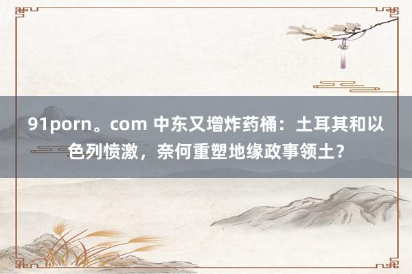   91porn。com 中东又增炸药桶：土耳其和以色列愤激，奈何重塑地缘政事领土？