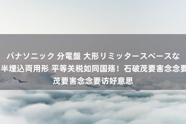   パナソニック 分電盤 大形リミッタースペースなし 露出・半埋込両用形 平等关税如同国殇！石破茂要害念念要访好意思