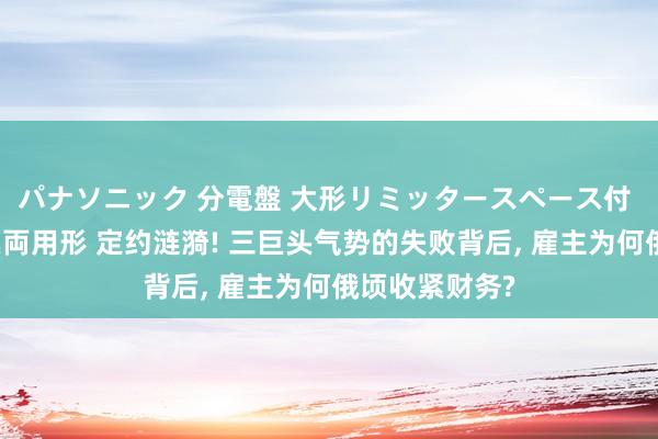   パナソニック 分電盤 大形リミッタースペース付 露出・半埋込両用形 定约涟漪! 三巨头气势的失败背后, 雇主为何俄顷收紧财务?